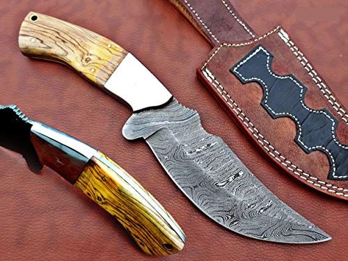11.5" Long Hand Forged Damascus Steel Trailing Point Full Tang Blade Skinning Knife, Yellow KOW Wood Scale with Steel Bolster, Cow Hide Leather Sheath Included