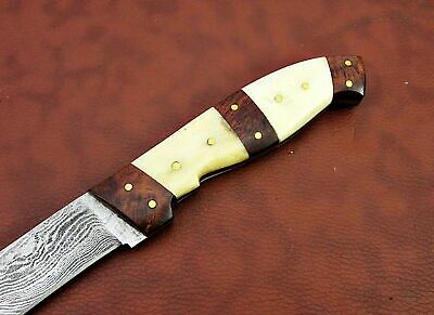 10" long Damascus steel Peeler Knife 4.5" cutting edge, wood & Bone scale