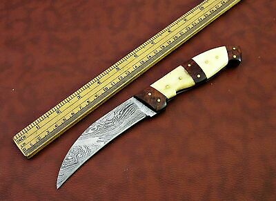 10" long Damascus steel Peeler Knife 4.5" cutting edge, wood & Bone scale