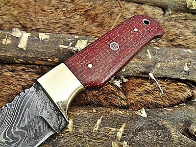 8" Red Damascus steel gut hook blade Skinning pocket knife with Leather sheath
