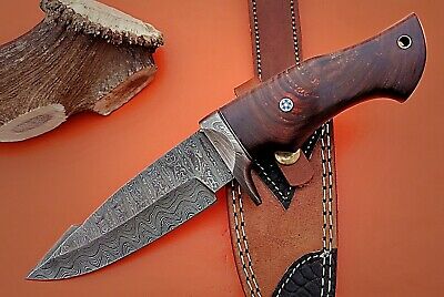 9" Long trailing point Damascus Steel skinning Knife, Walnut wood, Sheath