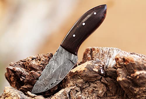 6.5" Long hand forged Damascus steel compact skinning Knife, 3" drop point full tang blade, Natural Camel Bone scale, Cow hide Leather sheath with belt loop (White)