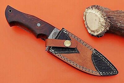 9" Long trailing point Damascus Steel skinning Knife, Walnut wood, Sheath