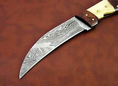 10" long Damascus steel Peeler Knife 4.5" cutting edge, wood & Bone scale