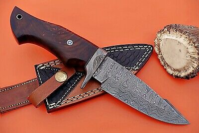 9" Long trailing point Damascus Steel skinning Knife, Walnut wood, Sheath