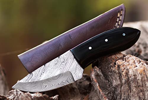 6.5" Long hand forged Damascus steel compact skinning Knife, 3" drop point full tang blade, Natural Camel Bone scale, Cow hide Leather sheath with belt loop (White)