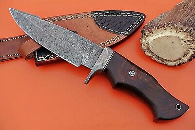 9" Long trailing point Damascus Steel skinning Knife, Walnut wood, Sheath