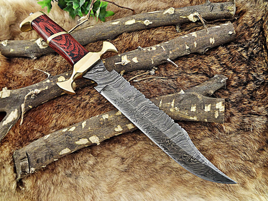 15" Long Hunting Bowie knife, hand forged Damascus steel, Red  Dollar wood with Brass Pommel & Finger guard, Cow Leather sheath