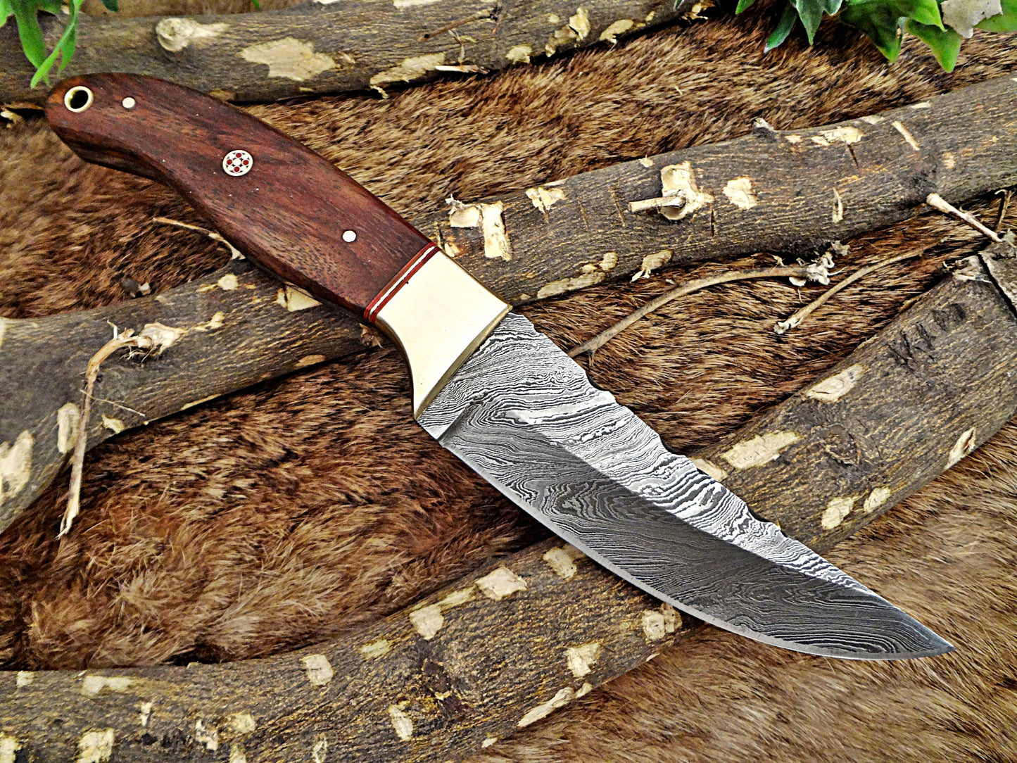 9.5" Damascus steel full tang blade skinning Knife, Available in 2 wood scales with Brass bolster, includes Cow hide Leather sheath