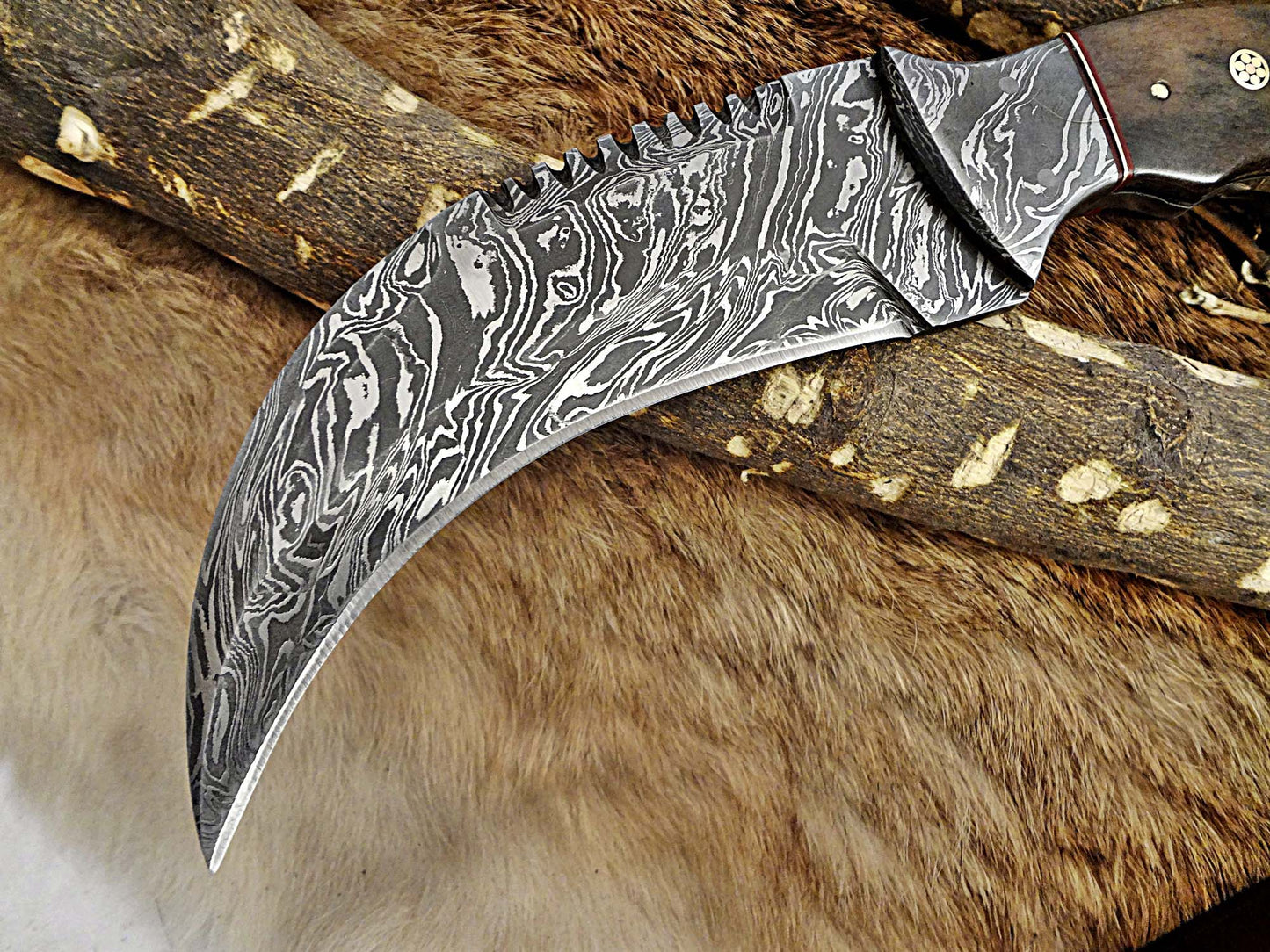 11" Long hand forged Damascus steel Karambit Knife, Colored Camel Bone with Damascus Bolster & Pommel finger hole, Leather sheath