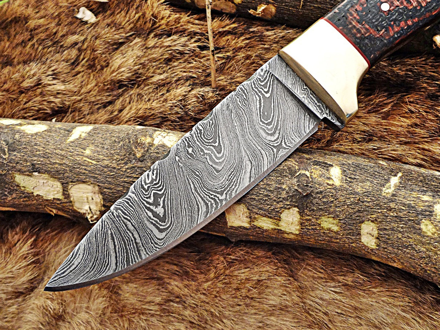 8.5" Long hand forged Damascus steel skinning knife, 4" full tang blade, Solid and 2 tone black scales available, Cow hide Leather sheath included