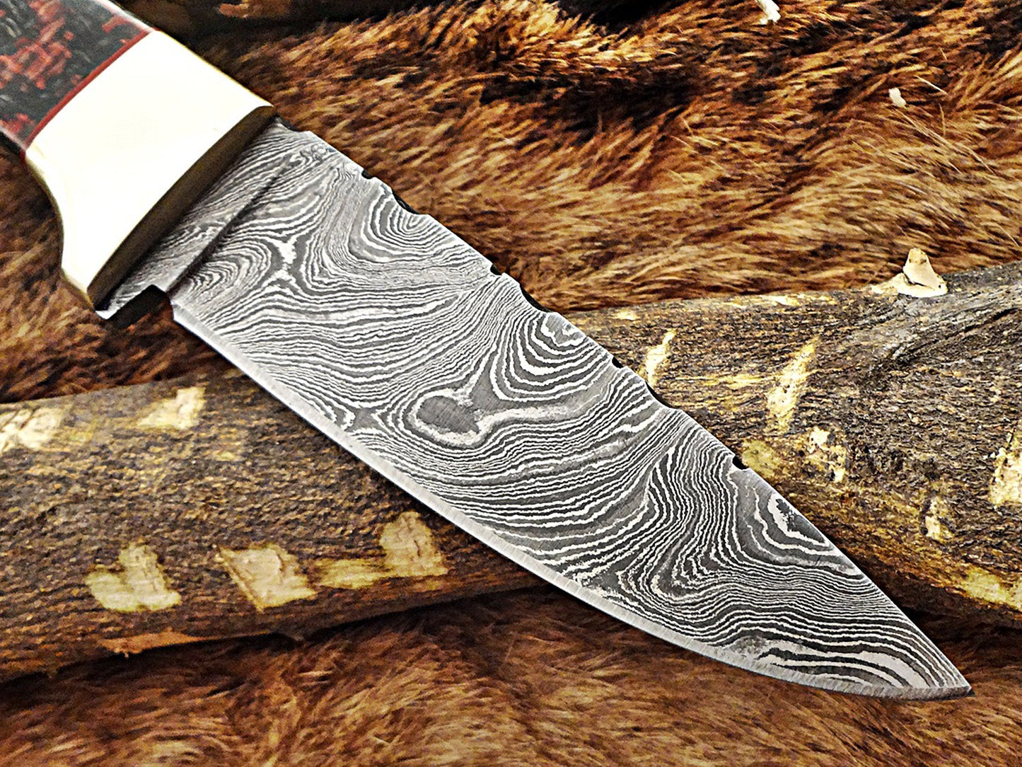 8.5" Long hand forged Damascus steel skinning knife, 4" full tang blade, Solid and 2 tone black scales available, Cow hide Leather sheath included
