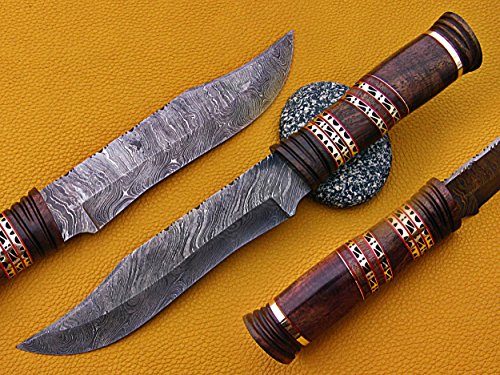 13.5" Long hand forged Damascus steel exotic Hunting Knife with 7" blade, Exotic Rose wood scale crafted with engraved brass & fiber spacing, Cow Leather sheath included