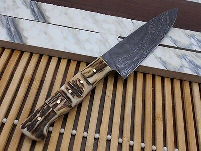 Stag Antler scale 10 Inches long Chef Knife custom made hand forged Damascus