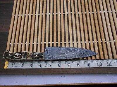 Stag Antler scale 10 Inches long Chef Knife custom made hand forged Damascus