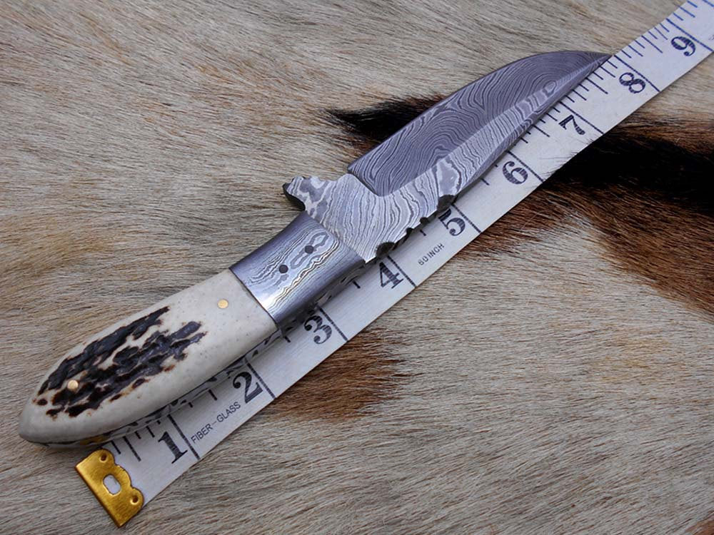 Stag antler with damascus bolster Exotic scale 8" Long Damascus Full tang hunting knife 4.2" cutting Hand Forged Cow leather sheath