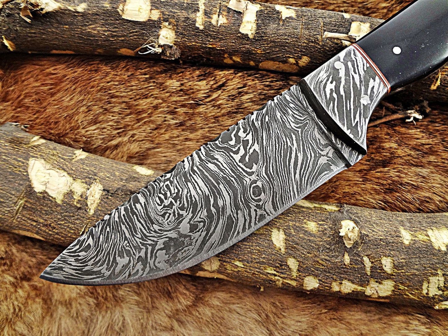 9.25" Long hand forged Damascus steel full tang drop point blade skinning Knife, Buffalo Horn scale with Damascus Bolster Cow Leather sheath