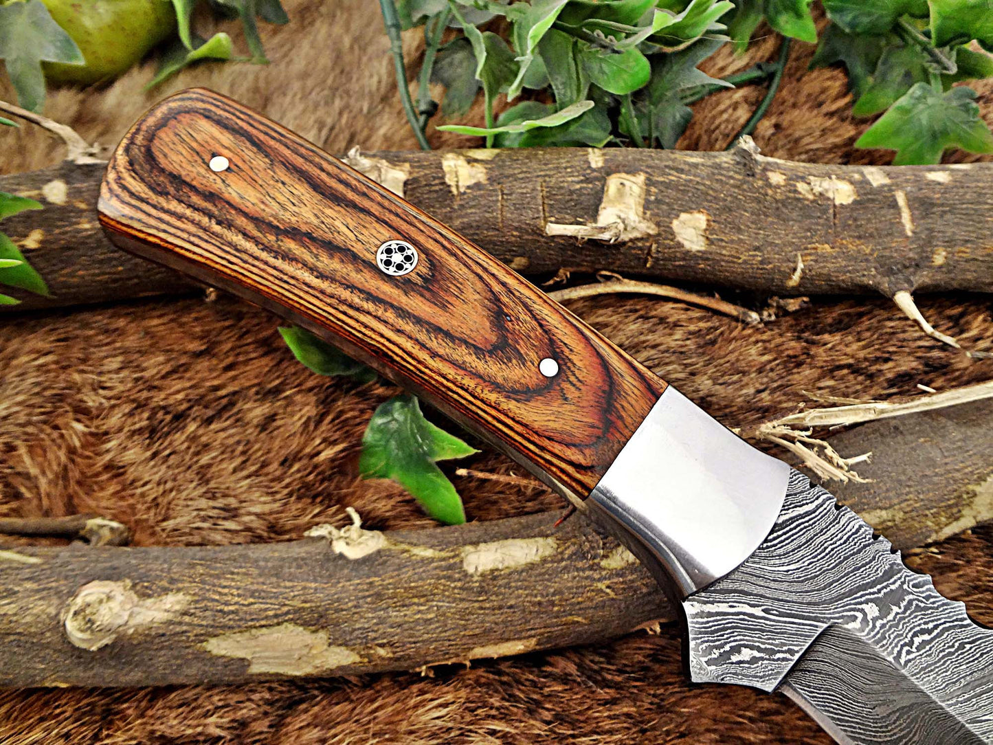 11" Long hand forged Damascus steel full tang blade skinning Knife, 2 tone brown Dollar wood with Brass bolster scale, Cow Leather sheath