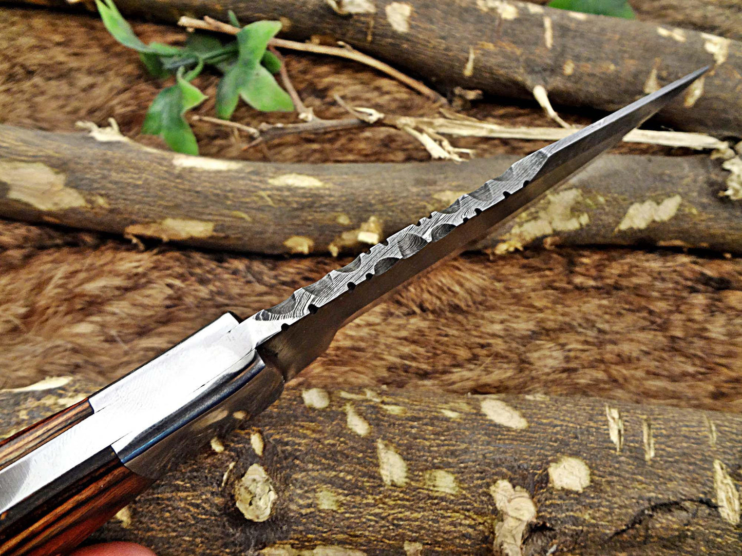 11" Long hand forged Damascus steel full tang blade skinning Knife, 2 tone brown Dollar wood with Brass bolster scale, Cow Leather sheath