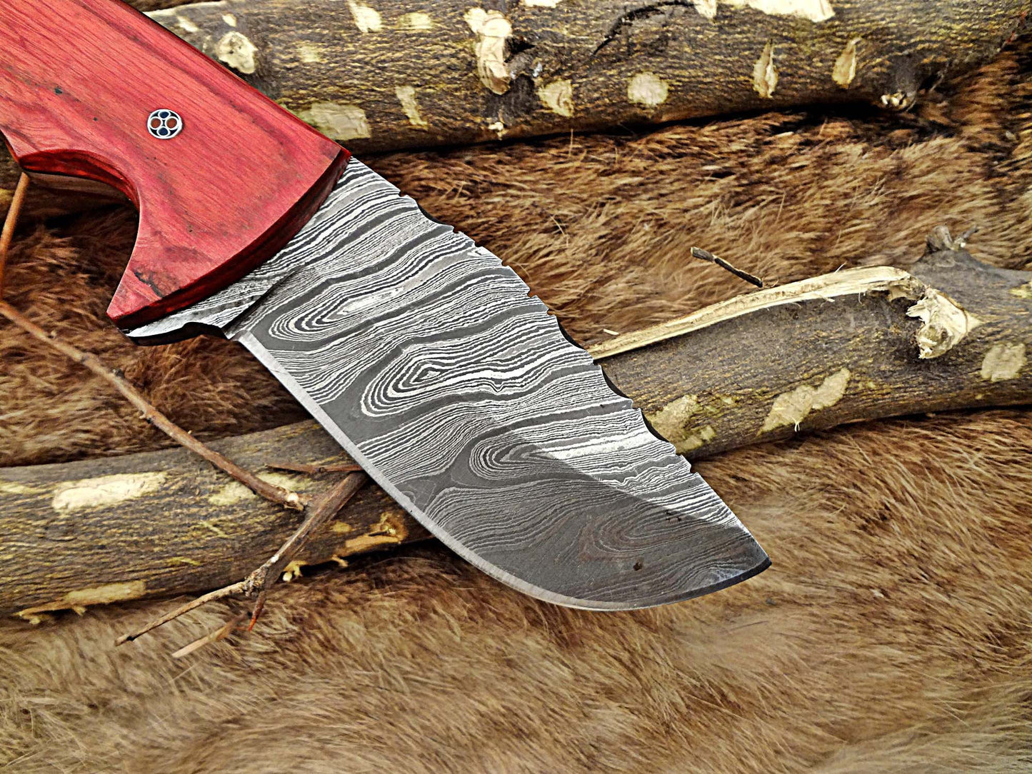 8.5" Long Damascus steel hand forged compact skinning Knife, 4" clip point full tang blade, Red dollar wood scale, Cow hide Leather sheath