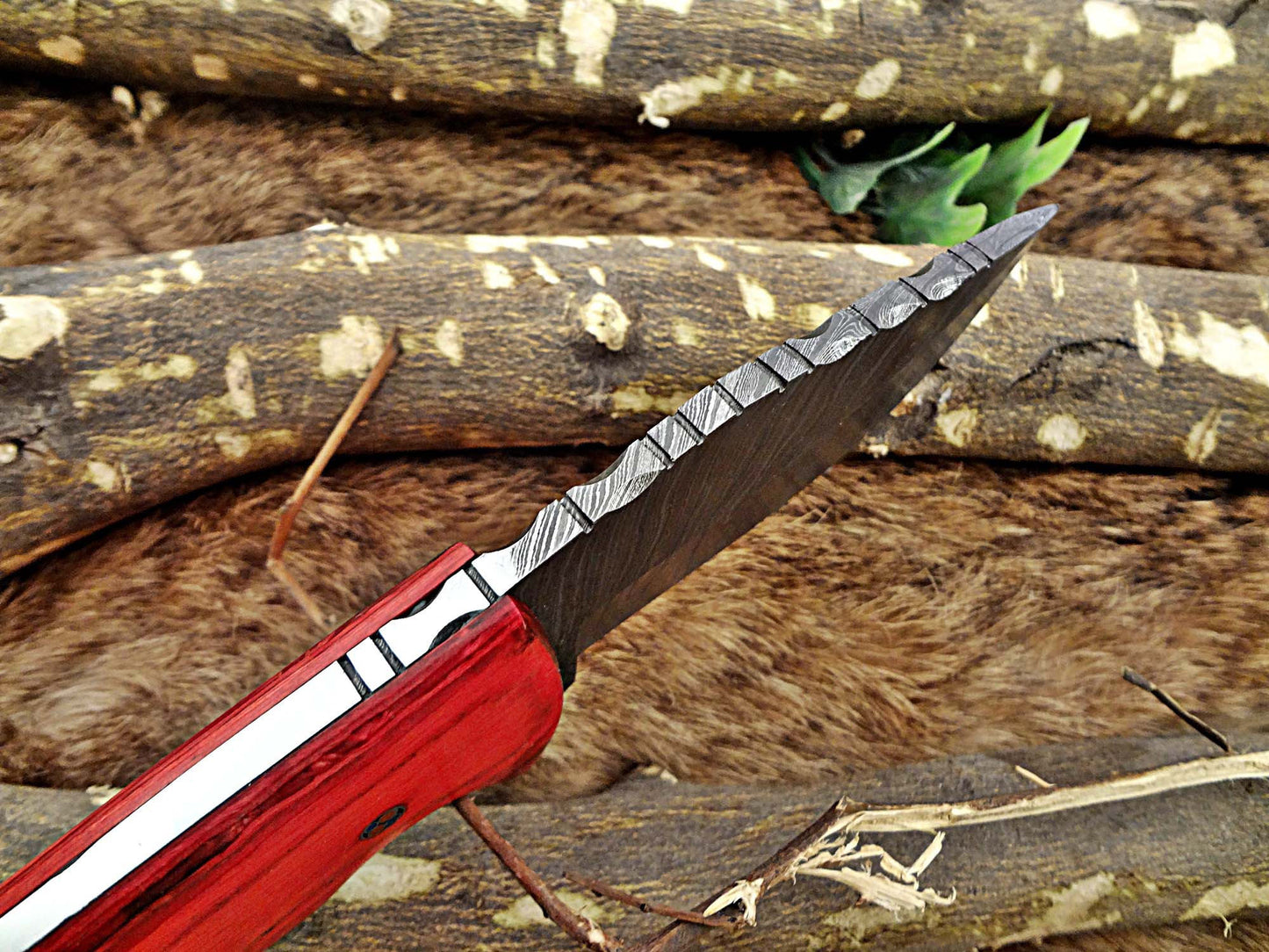 8.5" Long Damascus steel hand forged compact skinning Knife, 4" clip point full tang blade, Red dollar wood scale, Cow hide Leather sheath