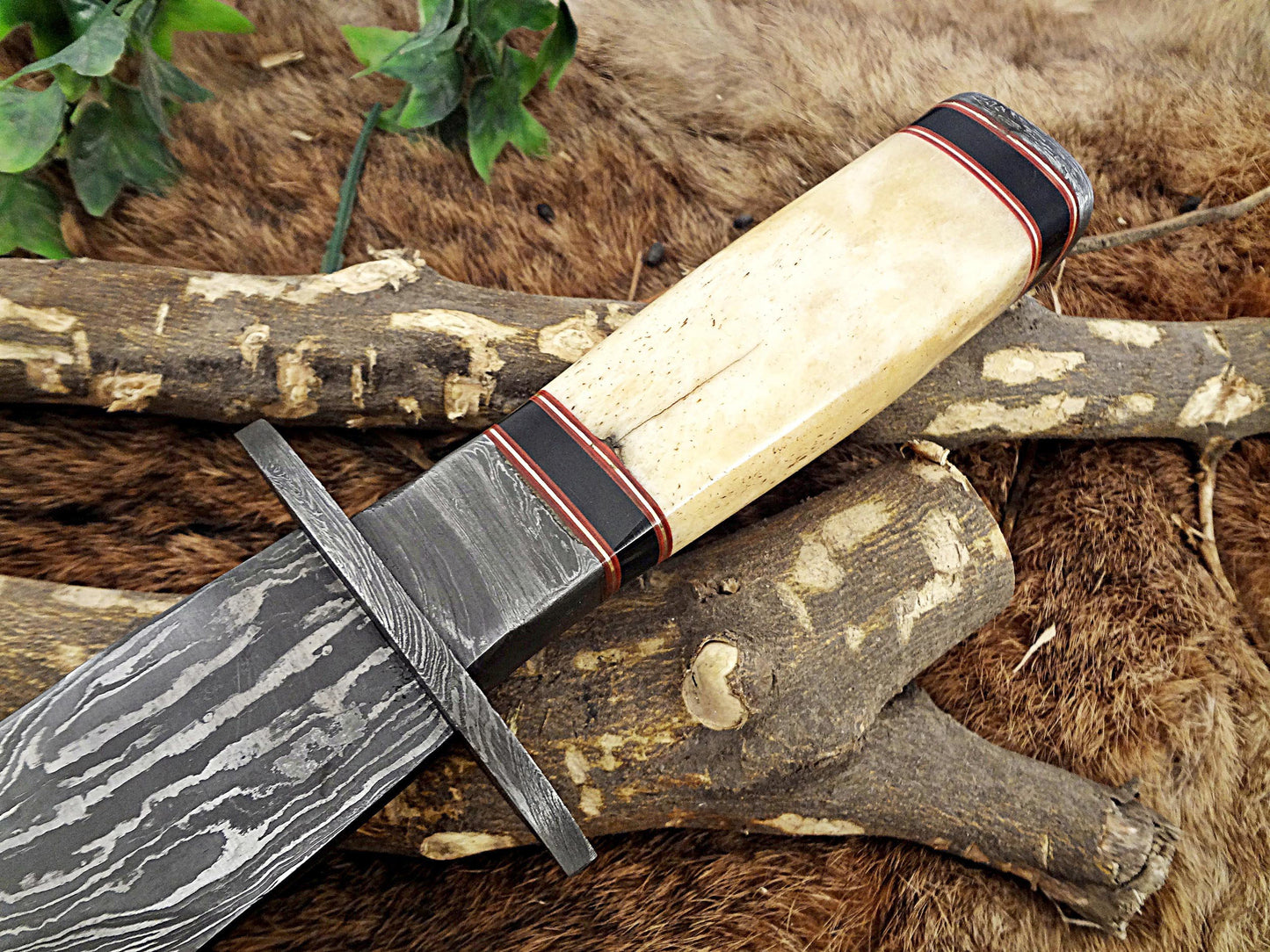 13 Inches long Damascus steel custom made hunting dagger Knife camel bone, Bull horn & bolster scale Hand Forged cow hide leather sheath