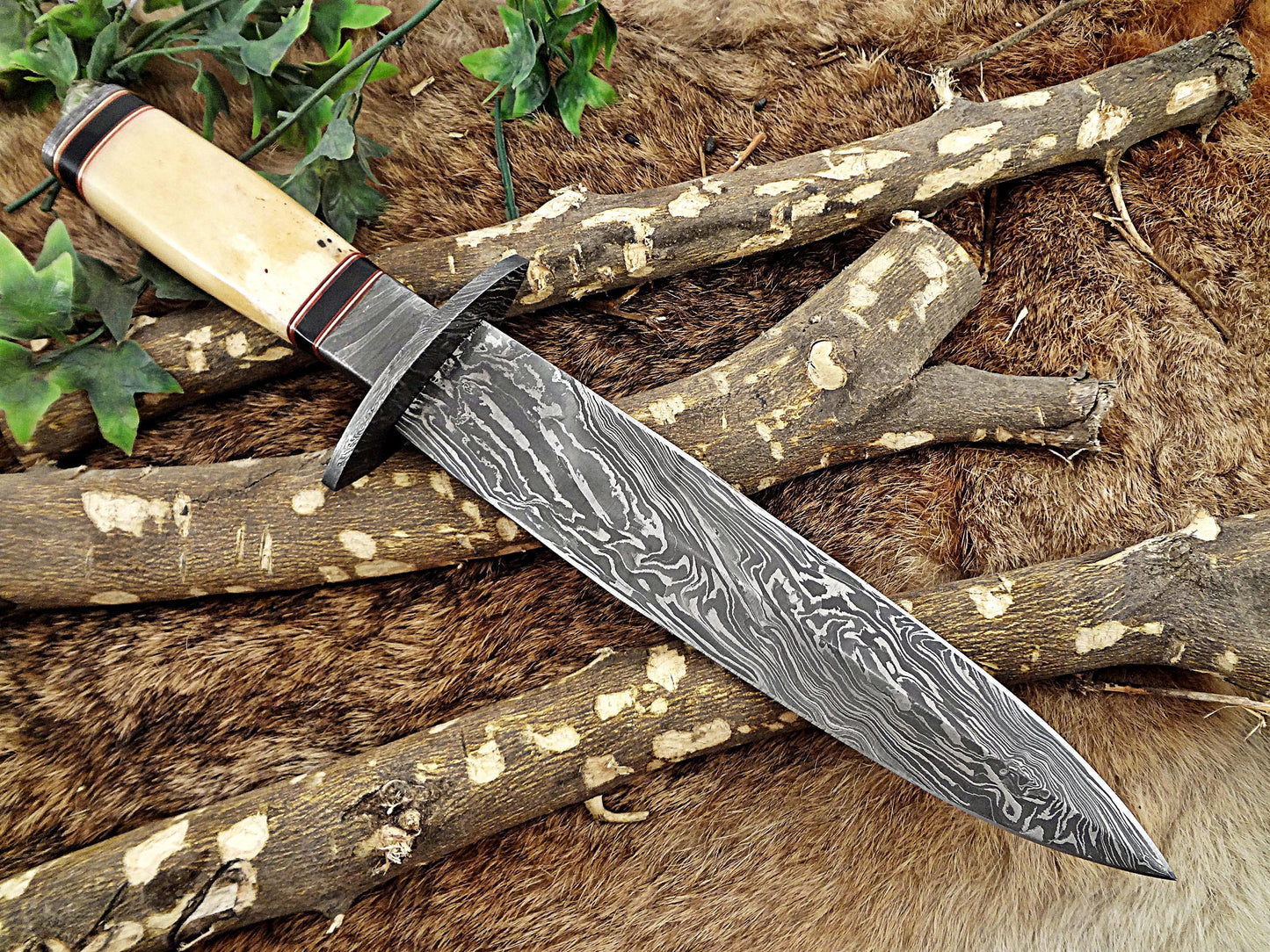 13 Inches long Damascus steel custom made hunting dagger Knife camel bone, Bull horn & bolster scale Hand Forged cow hide leather sheath