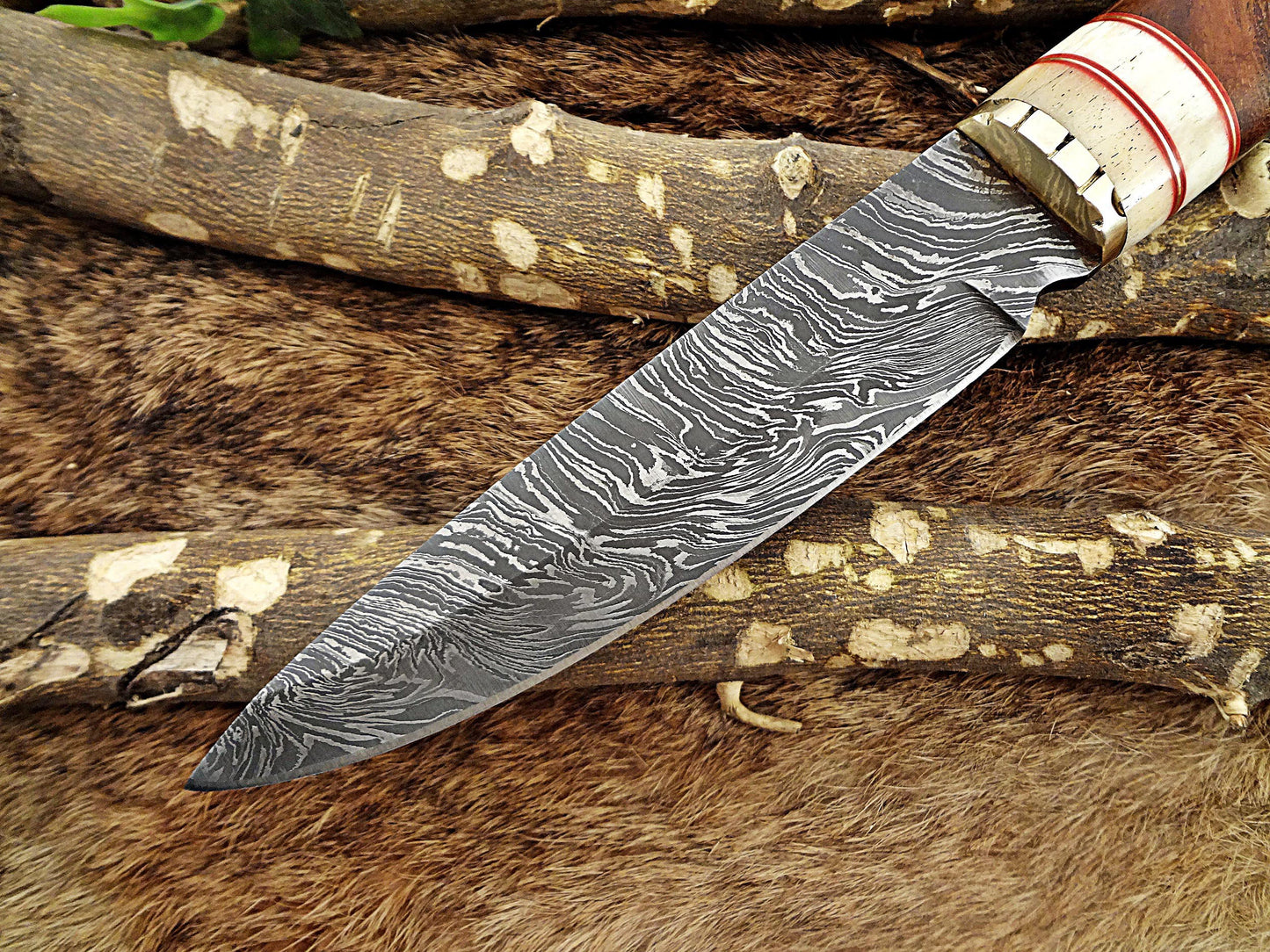 11" Long Damascus steel hunting Knife hand forged Twist pattern, Natural wood with camel bone & brass scale, thick Cow hide leather sheath