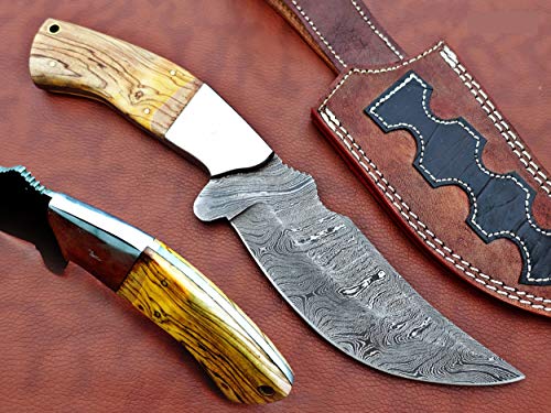 11.5" Long Hand Forged Damascus Steel Trailing Point Full Tang Blade Skinning Knife, Yellow KOW Wood Scale with Steel Bolster, Cow Hide Leather Sheath Included