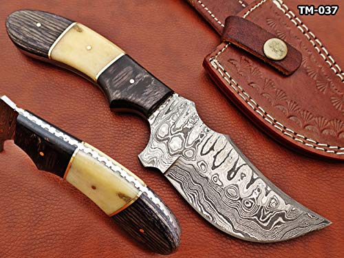 9.5" Long Full Tang Blade Skinning Knife, Rain Drop Pattern Trailing Point Blade, Hand Forged Damascus Steel, 2 Tone Black Wood and Camel Bone Scale, Cow Leather Sheath