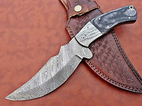11.5" Long Hand Forged Damascus Steel Trailing Point Full Tang Blade Skinning Knife, 2 Tone Black Dollar Wood Scale with Damascus Bolster, Cow Hide Leather Sheath Included
