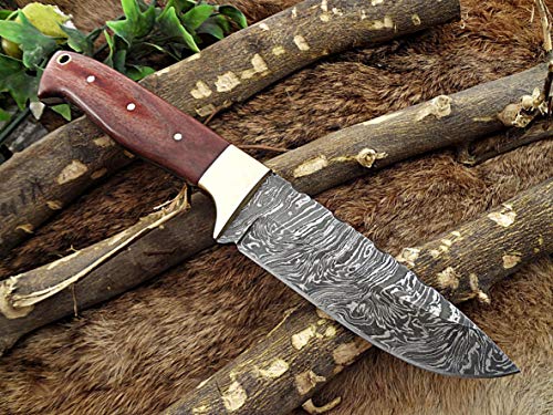 9.5″ Long hand forged Damascus steel Hunting knife, 4.5″ full tang blade, Red colored scale with Brass bolster scale, Cow hide Leather sheath with belt inserting loop