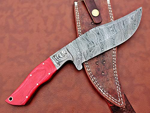 12.5" Long Hand Forged Damascus Steel Clip Point Full Tang Blade Hunting Knife, Red Wood Scale with Damascus Bolster, Cow Hide Leather Sheath Included