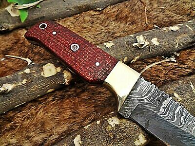 8" Red Damascus steel gut hook blade Skinning pocket knife with Leather sheath