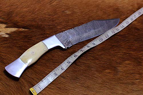 14.5" Long Hand Forged Damascus Steel Hunting Bowie Knife, Camel Bone Scale with Steel Bolster, Cow Hide Leather Sheath with Belt Loop
