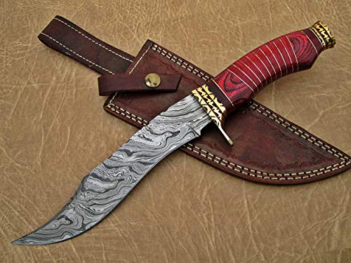 12.5" Long Hand Forged Damascus Steel Hunting Bowie Knife, Sliced Red Wood with Engraved Brass Cap and Finger Guard, Cow Hide Leather Sheath (Red)