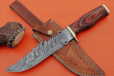 Damascus steel Gut hook hunting knife, Finger guard wood scale, leather Sheath