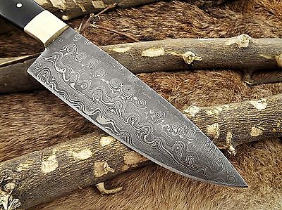 10" long Damascus Steel kitchen Knife full tang 5.5" long Hand Forged blade