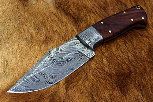 9" Long walnut wood skinning Knife, hand forged Twist Pattern Damascus steel full tang blade, Solid walnut wood scale with Damascus bolster & inserting hole, Cow Leather sheath with belt loop included