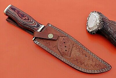 Damascus steel Gut hook hunting knife, Finger guard wood scale, leather Sheath