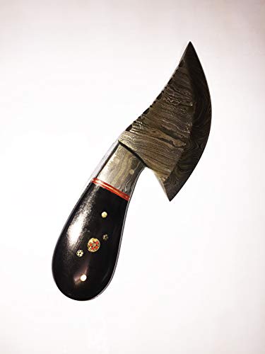7" Long Compact Hand Forged Damascus Steel Wide Blade Skinning Knife with 3.5" Cutting, Natural Bull Horn Scale with Damascus Bolster, Cow Hide Leather Sheath (Camel Bone)