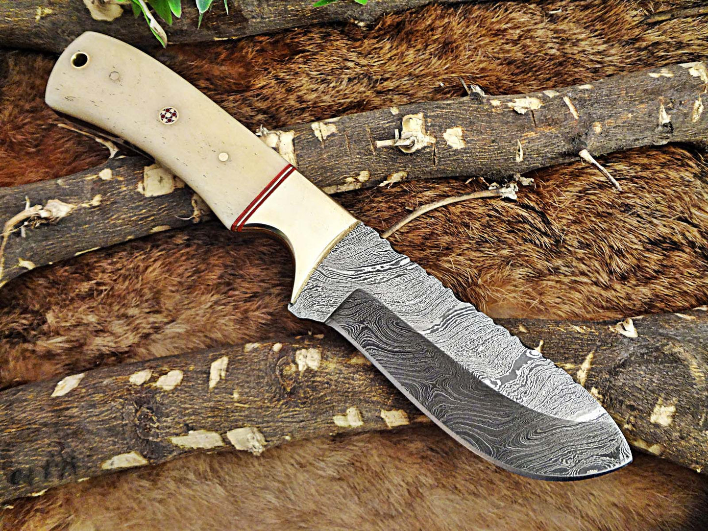 9" Damascus steel full tang Skinning Knife, Black and white scales with Brass Bolster scale, Cow hide Leather sheath included