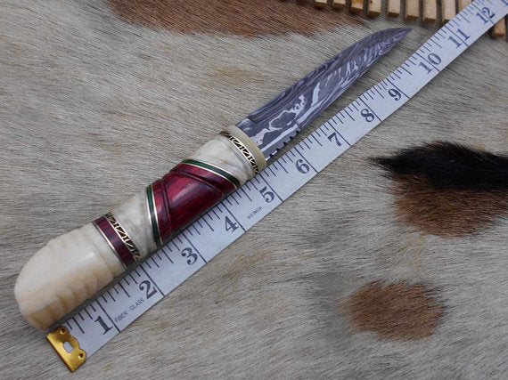 10.5" Long Damascus steel hunting Knife hand forged, hand crafted exotic round scale scale with camel bone brass & fiber, Cow Leather sheath