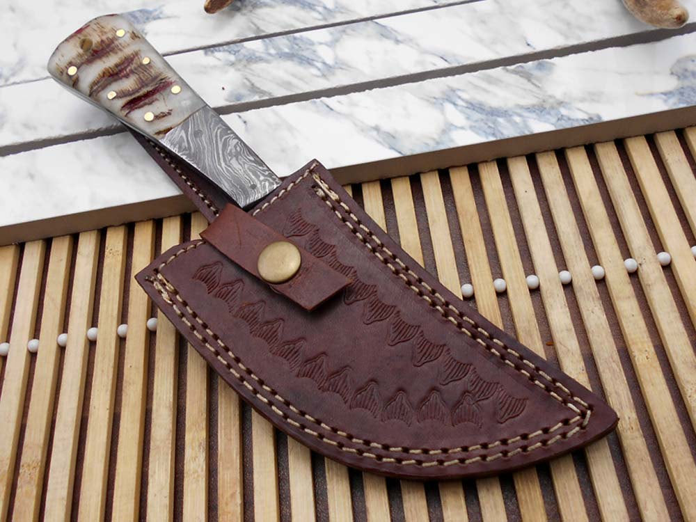 8.7"long Damascus steel Ram horn scale with bolster custom made compact skinning Knife full tang Hand Forged 4" blade cow leather sheath